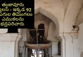 Thanjavur Palace – తంజావూరు ప్యాలస్ – ఇక్కడ 92 అడుగుల తిమింగలం ఎముకలను భద్రపరిచారు