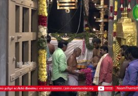 தஞ்சை பெரியகோயில் குடமுழுக்கு! ஆதிபாட்டன் சிவனை வணங்கிய சீமான் #SeemanPressmeet #ThanjaiPeriyakovil
