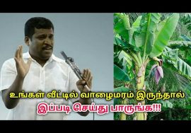 உடலுக்கு நன்மை தரும் வாழைமரத்தில் எடுக்கப்படும் குடிநீர் | Healer baskar speech on banana water