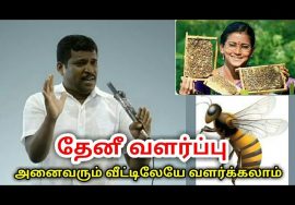தேனீ வளர்ப்பு – வீட்டுக்கு ஒரு தேனீபெட்டி அவசியம்| Healer baskar speech on bee keeping