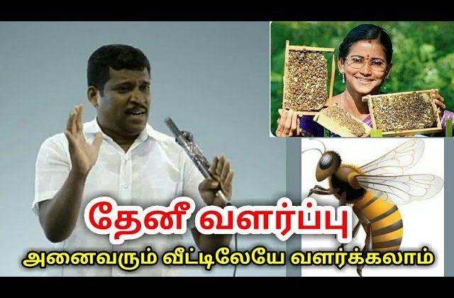 தேனீ வளர்ப்பு – வீட்டுக்கு ஒரு தேனீபெட்டி அவசியம்| Healer baskar speech on bee keeping