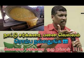 நாட்டு சர்க்கரை,வெள்ளை சர்க்கரை தயாரிக்கும் முறை|Healer baskar speech on jaggery vs white sugar