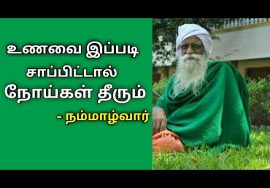 உணவை இப்படித்தான் உண்ண வேண்டும் – நம்மாழ்வார் | Nammalvar speech on food | உணவே மருந்து