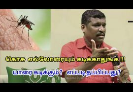 கொசு யாரை கடிக்கும் | Mosquito bite remedy in tamil by Healer baskar sir