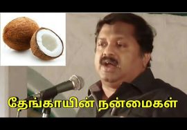 தேங்காய் – தாய்ப்பாலுக்கு சமம் | Coconut’s benefit as like mothers milk