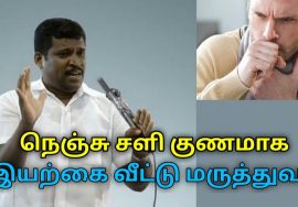 நுரையீரல் சளி குணமாக இயற்கை வீட்டு வைத்தியம் | Healer Baskar speech on home remedy for lungs cold