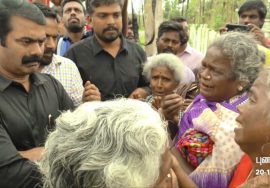 ஊரும் நீரும் காக்க இலட்சம் பனையை விதைத்திட்டோம்!பேரிடரில் துயரம் போக்க ஓடி உழைத்திட்டோம்! #See