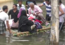 ஊரும் நீரும் காக்க இலட்சம் பனையை விதைத்திட்டோம்!பேரிடரில் துயரம் போக்க ஓடி உழைத்திட்டோம்! #See