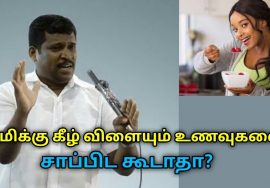 கிழங்கு வகைகளை சாப்பிடாம இருக்காதீங்க | Healer Baskar speech on food eating habits