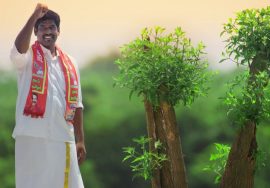 வீழ்ந்த தமிழினம் மீண்டெழ; தமிழகம் தழைக்க வாக்களிப்போம் நாம் தமிழர் கட்சி #நமதுசின்னம்_விவசா
