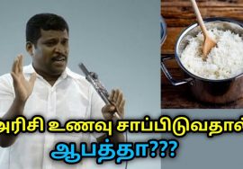 அரிசி உணவு சாப்பிடலாமா? நல்லதா? | Healer Baskar speech on rice food