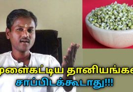முளைகட்டிய தானியங்கள் சாப்பிட வேண்டாம் | Healer Rengaraj speech on healthy food