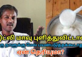 இட்லி மாவு ஒரு நாளுக்கு மேல் பயன்படுத்தக்கூடாது | Healer Rengaraj speech on helathy food