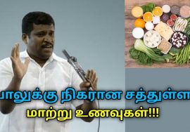 பாலுக்கு மாற்றாக சத்து நிறைந்த உணவுகள் | Healer Baskar speech on calcium rich foods