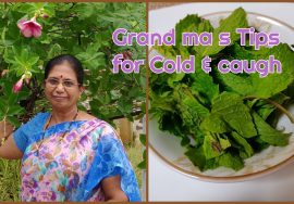V log :Grand ma ‘sTips-Mint Kashayam & Toothpowder- சளி இருமலுக்கு புதினா கஷாயம் – Mallika Badrinath