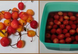 Cherries in Syrup – Simple method to preserve fresh cherries- Mallika Badrinath