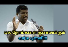 இந்த வர்ம புள்ளியை தொட்டால் பல நோய்கள் குணமாகும் | Healer Baskar speech on varma points