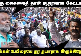 ஆதரவாக கைகளைத் தான் கேட்டான்.. நாங்கள் உயிரையே தர தயாராக இருக்கிறோம்! – கோவை நாசருக்கு சீமான