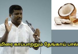 தினமும் தேங்காய் சாப்பிடுங்க! ஆச்சரியப்படுவிங்க! |Healer Baskar speech on health benefits of coconut