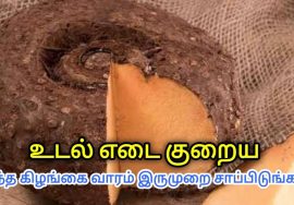 சேனைக்கிழங்கு சாப்பிடுவதால் கிடைக்கும் நன்மைகள் | Health benefits of elephant yam