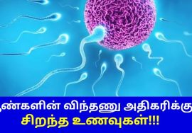 ஆண்களின் விந்து உற்பத்தியை அதிகரிக்கும் இயற்கை உணவுகள் | Foods to increase sperm count