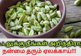 ஏலக்காய் சாப்பிடுவதால் உடலுக்கு கிடைக்கும் நன்மைகள் | Dr.Sivaraman speech on benefits of cardamom