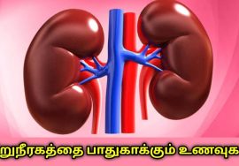 சிறுநீரகத்தை ஆரோக்கியமாக வைத்திருக்கும் உணவுகள் | Food for healthy kidney
