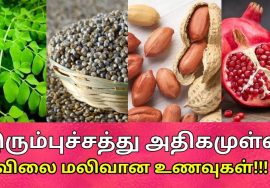 இரும்புச்சத்து அதிகரிக்கும் எளிய உணவுகள் | Best Iron rich foods