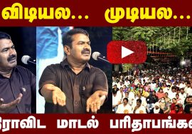சீமான் எழுச்சியுரை | இலவசம் ஏற்றமா? ஏமாற்றமா? மாபெரும் பொதுக்கூட்டம் – தி.நகர் சென்னை Seeman LIVE