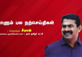 சிற்பியின் தொடர் முயற்சி! – நாளும் பல நற்செய்திகள் | Chinese Bamboo Tree Motivational Story
