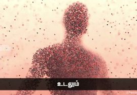 முடிவுகளைத் துரிதமாக எடுப்பவன் எளிதில் வெற்றிபெறுகிறான்! – ஐயா இறையன்பு | நாளும் பல நற்செய