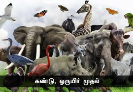 ஒட்டுமொத்த மனித குலத்திற்கு உலக கவிதை எழுதியது தமிழ்! – கவிப்பேரரசு  வைரமுத்து #நாளும்பலநற�