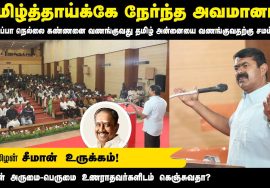 செந்தமிழன் சீமான் புகழுரை | தமிழ்க்கடல் நெல்லை கண்ணன் புகழ்வணக்க நினைவேந்தல் – சென்னை #கஇப