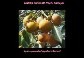 #Shorts 180- தெரிந்து கொள்வோமா?இந்த பழம் நம் ஊரிலும் கிடைக்கின்றது.Japan Fruit – Persimmon fruit
