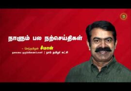 இலையும் கல்லும்! – பகுதி 3 | நாளும் பல நற்செய்திகள் | இறையன்பு