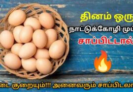 நாட்டுக்கோழி முட்டையின் வியக்க வைக்கும் நன்மைகள் | Country chicken egg health benefits