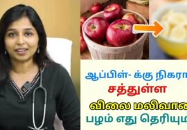 ஆப்பிள்- க்கு நிகரான சத்துள்ள பழம் | Dr Sharmika speech on best fruit