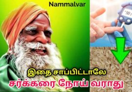 சர்க்கரை நோய் வர காரணமும் தீர்வும் | Nammalvar speech on diabetes treatment