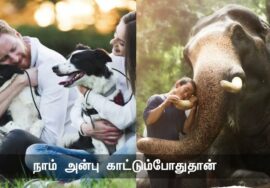 புத்தகங்கள்  | ஆறாம் அறிவு | கழகங்கள் | வரலாறு | நாளும் பல நற்செய்திகள் – சீமான் 22-08-2023