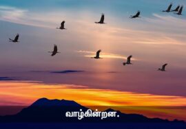 குடிமக்களின் கடமை | தலைமையின் கடமை | நாளும் பல நற்செய்திகள் – சீமான் 26-08-2023