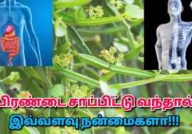 பிரண்டை கொடுக்கும் வியக்கவைக்கும் நன்மைகள் | Pirandai Health benefits