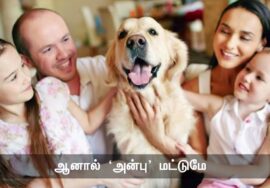 அன்பு | கற்றல் | பிரச்சினை| நாளும் பல நற்செய்திகள் செந்தமிழன் சீமான் 24-10-2023