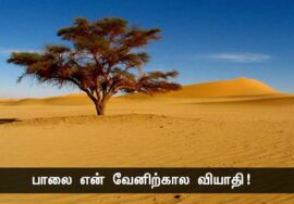 மண் – கவிக்கோ அப்துல் ரகுமான் | நாளும் பல நற்செய்திகள்