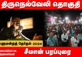 தேரடி திடல் திருநெல்வேலி | சீமான் பரப்புரை | திருநெல்வேலி பா.சத்யா | நாடாளுமன்றத் தேர்தல் 28-03-2024