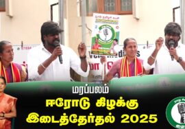 🔴நேரலை 25-01-2025 ஈரோடு கிழக்கு இடைத்தேர்தல் 2025 | சீமான் பரப்புரை| மரப்பலம்
