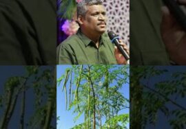 முருங்கையின் நன்மைகள் | Healer Baskar – Murungai health benefits