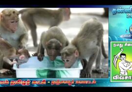 தாய்ப்பாலும் தண்ணீரும் பாடல் காணொளி – தண்ணீர் மாநாடு | மோகன் ராஜன் | அந்தோணி தாசன் | சின்னப்ப