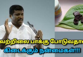 பெரியோர்கள் வெற்றிலை பாக்கு போடுவதன் நன்மை இதுதான் | Healer Baskar speech on vetrilai paaku