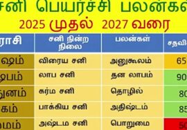 சனிப்பெயர்ச்சி 2025 to 2027 பலன்கள் | Sanipeyarchi