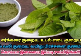 பல நோய்களுக்கு மருந்தாகும் கொய்யா இலை | Guava leaf benefits